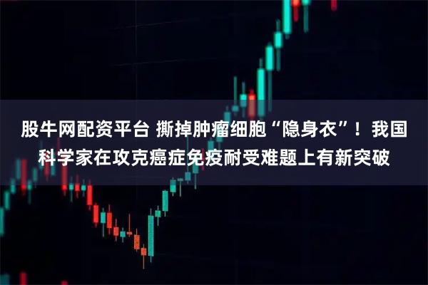 股牛網配資平臺 撕掉腫瘤細胞“隱身衣”！我國科學家在攻克癌癥免疫耐受難題上有新突破